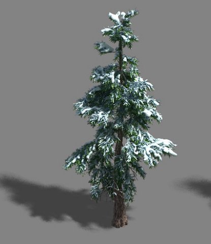 Ice and Snow – Cedar 01 3D Model