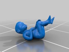 Human Fetus 3D Print Model