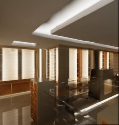 Pharmacy interior design 3D Model