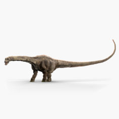 3D model Diplodocus 3D Model