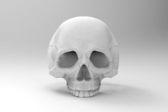 RIng Skull v2 3D Model