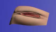 Feminine vagina 3D Model