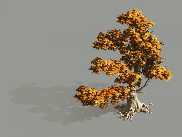 Game Model – Forest – Maple 2 3D Model