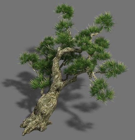 Strange – Pine 03 3D Model