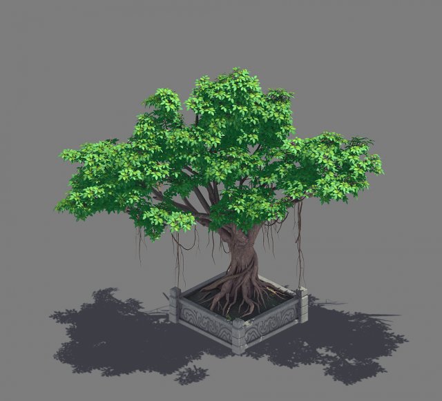 Plant – banyan tree 15 3D Model