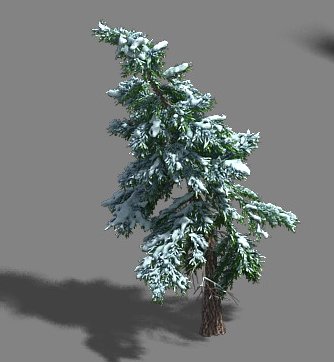 Ice and Snow – Cedar 02 3D Model