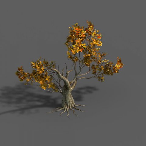 Forest – Trees 14 3D Model