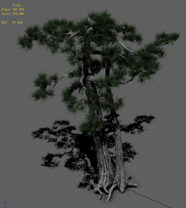 Strange – Pine 02 3D Model