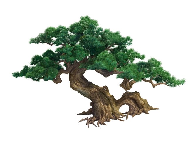 Game Model – Taoist comprehension scene – a pine 0 3D Model