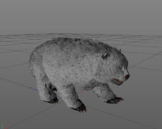 Dire Bear 3D Model