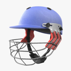 Cricket Helmet Generic 3D Model