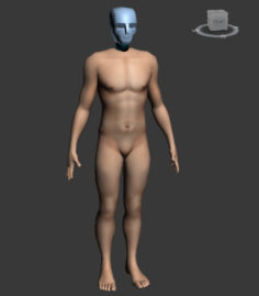 Human Male Body 3D Model
