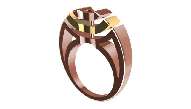 Bicolor ring 3D Model