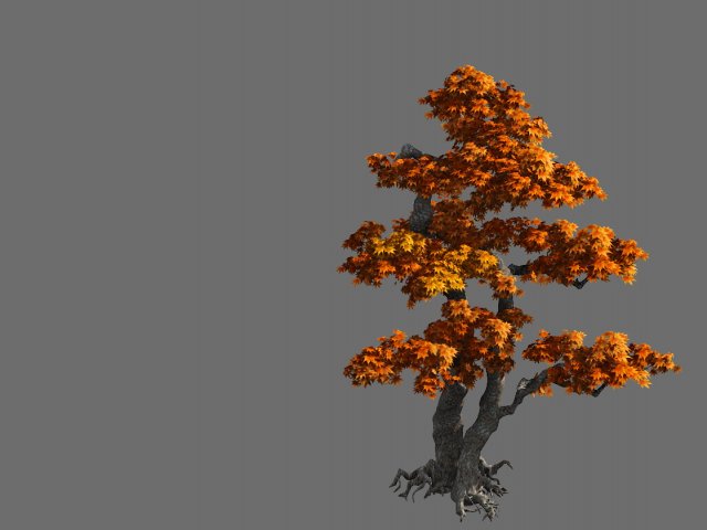 Game Model – Forest – Maple 4 3D Model