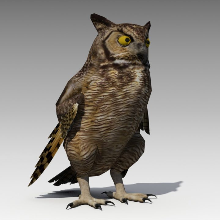 Owl Animated 3D model 3D Model