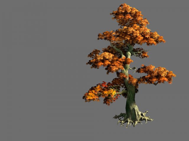 Game Model – Forest – Maple Tree 9 3D Model