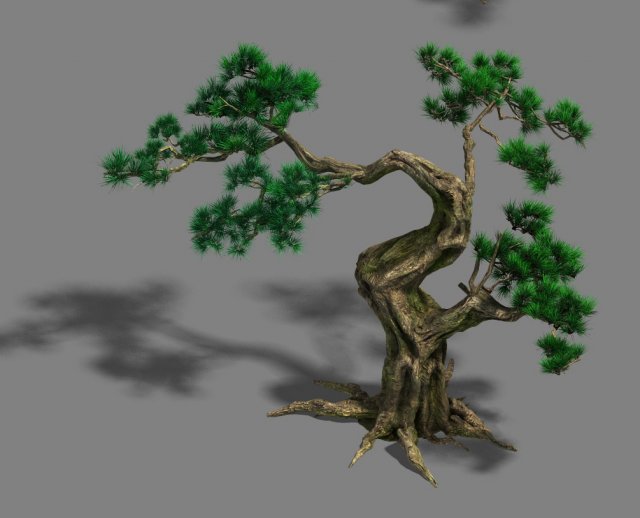 Forest – Pine 12 3D Model