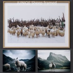 JUNIQE Sheep framed 3D Model
