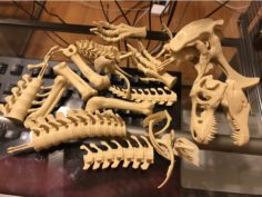 T-Rex Skeleton fixed and printable 3D Print Model