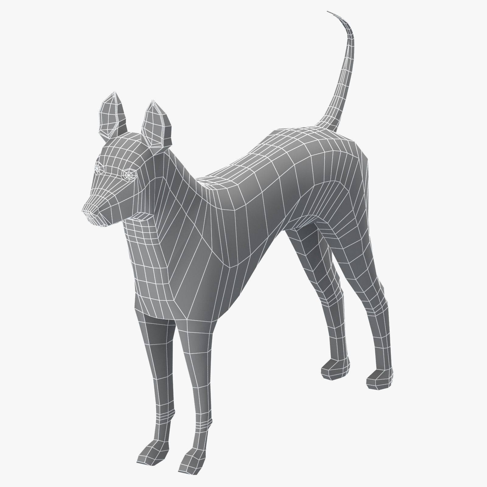 3D Thai Ridgeback Base Mesh 3D Model