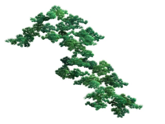 Game Model – Taoist comprehension scene – Pine 01 3D Model