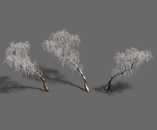 Winter snow – tree 3D Model