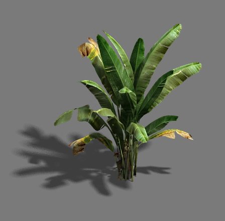 Trees – banana trees 3D Model