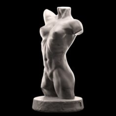 Female torso 3D Model