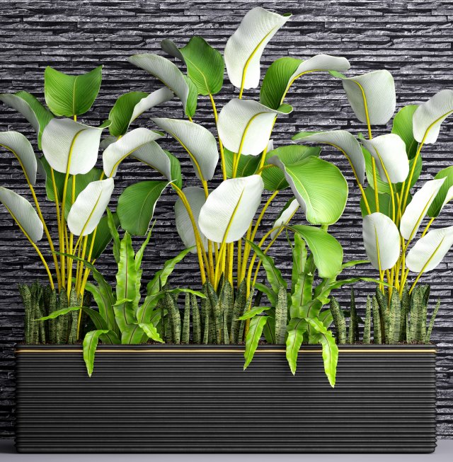 Collection plants 3D Model