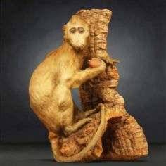 Realistic 3D Monkey Model 3D Model