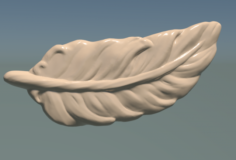 Small feather 3D Model