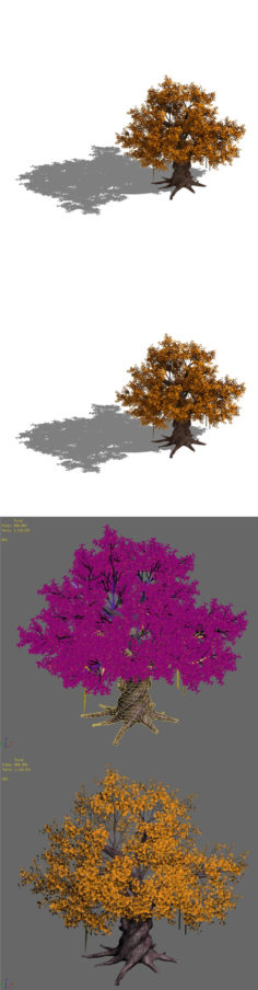 Plant – yellow tree
           3D Model