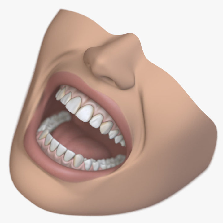 Dental Mouth Stiylzed 3D 3D Model