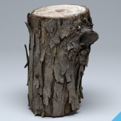 Wood Log (3D Scan) 3D Model