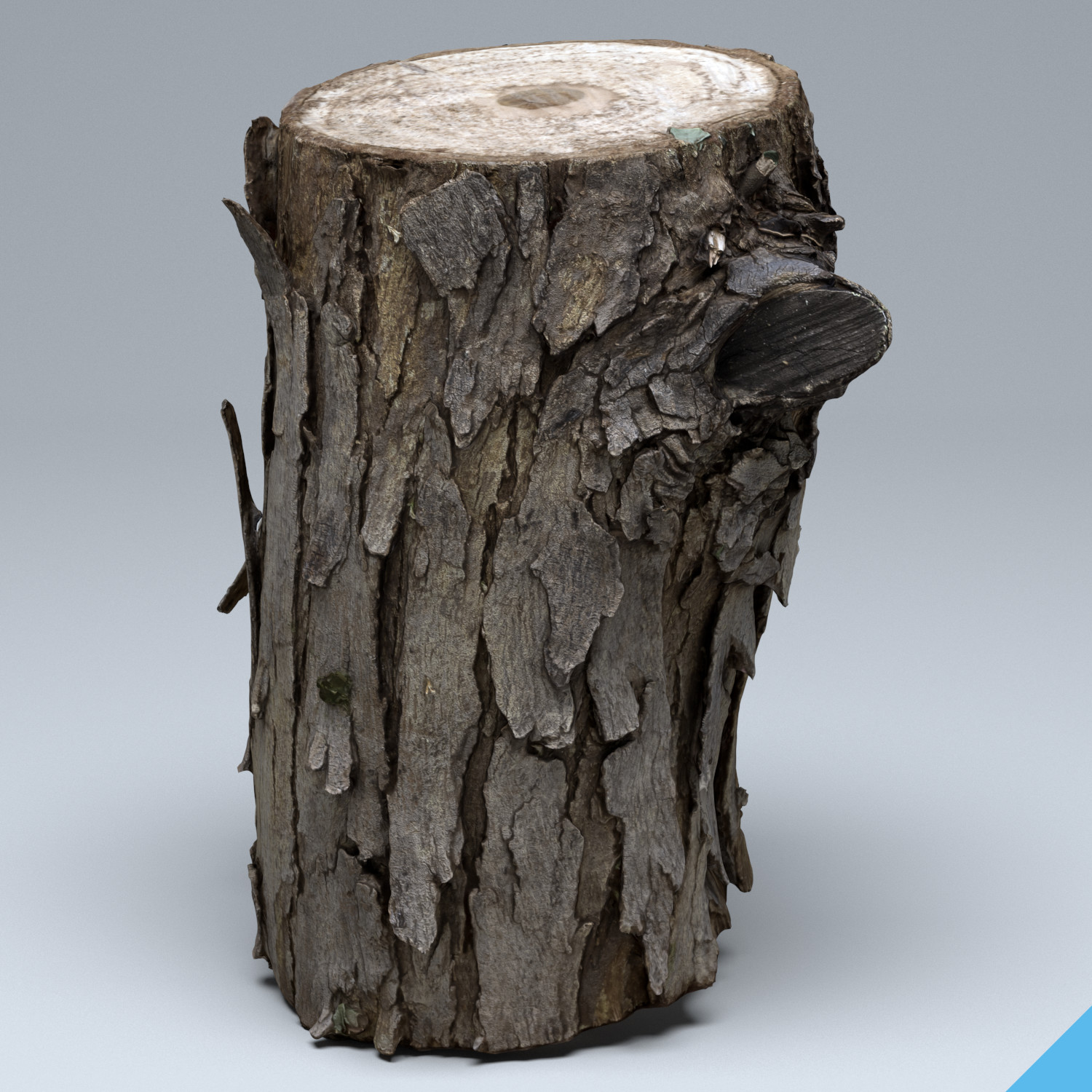 Wood 3d model