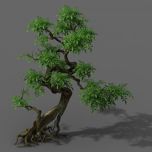 Plant – Green Tree 4 3D Model