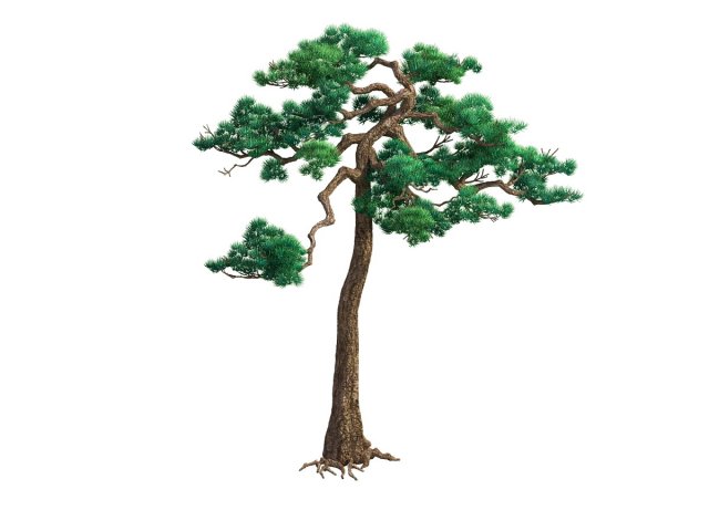 Game Model – Taoist comprehension scene – Pine 08 3D Model