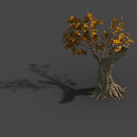 Forest – Trees 16 3D Model