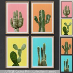 Cactus Print collection framed 3D Model