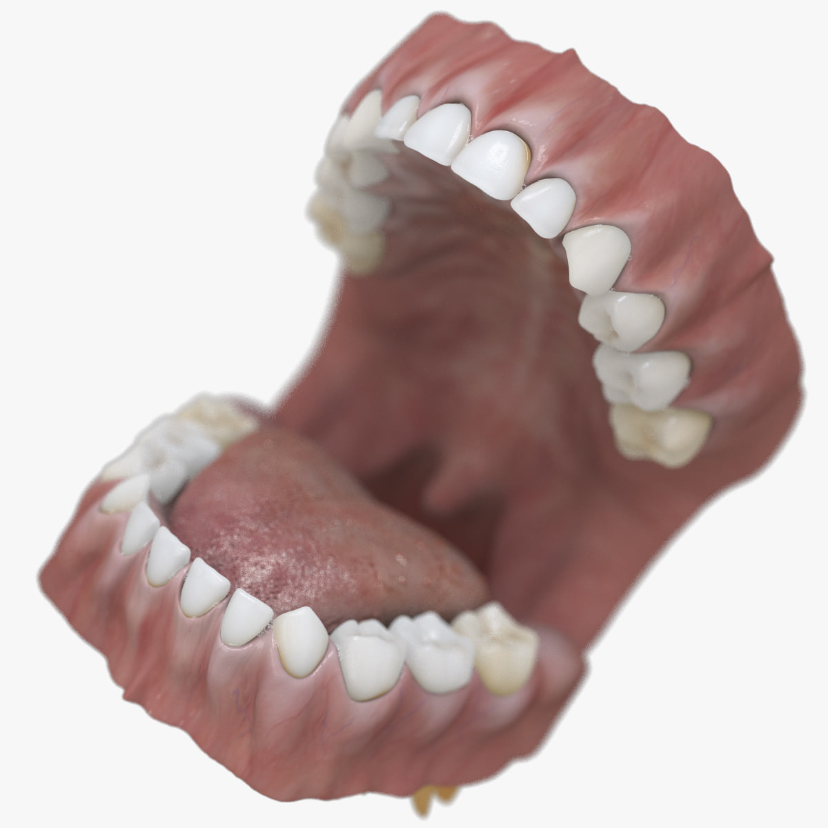 3D Baby Mouth (mixed) 3D Model