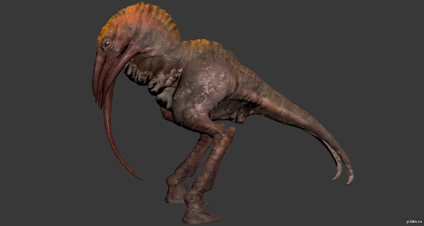 Mammoth Birds 3D Model