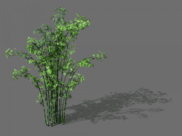 Game Model – Forest – Bamboo 3D Model