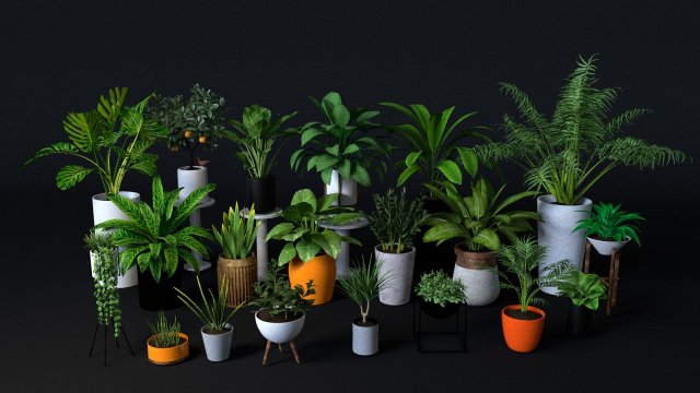 Plants Pack 3D Model