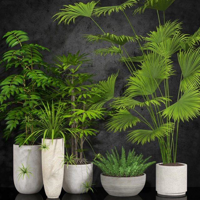 Room Plant 3D Model
