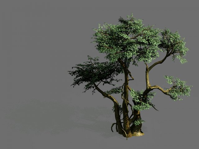 Game Models – Forest – Trees 07 3D Model
