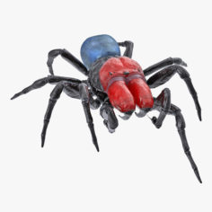 Missulena Spider 3D Model