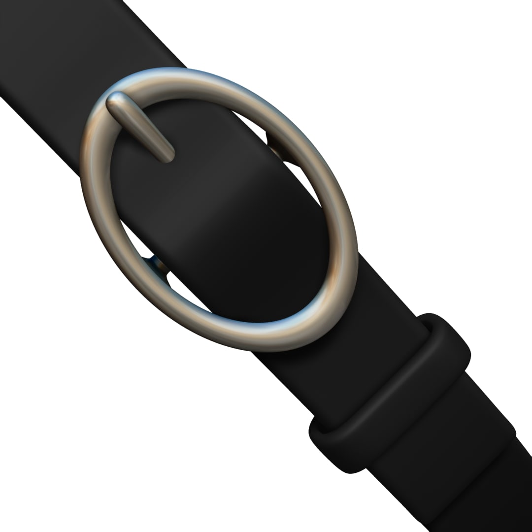 Belt 3D Model