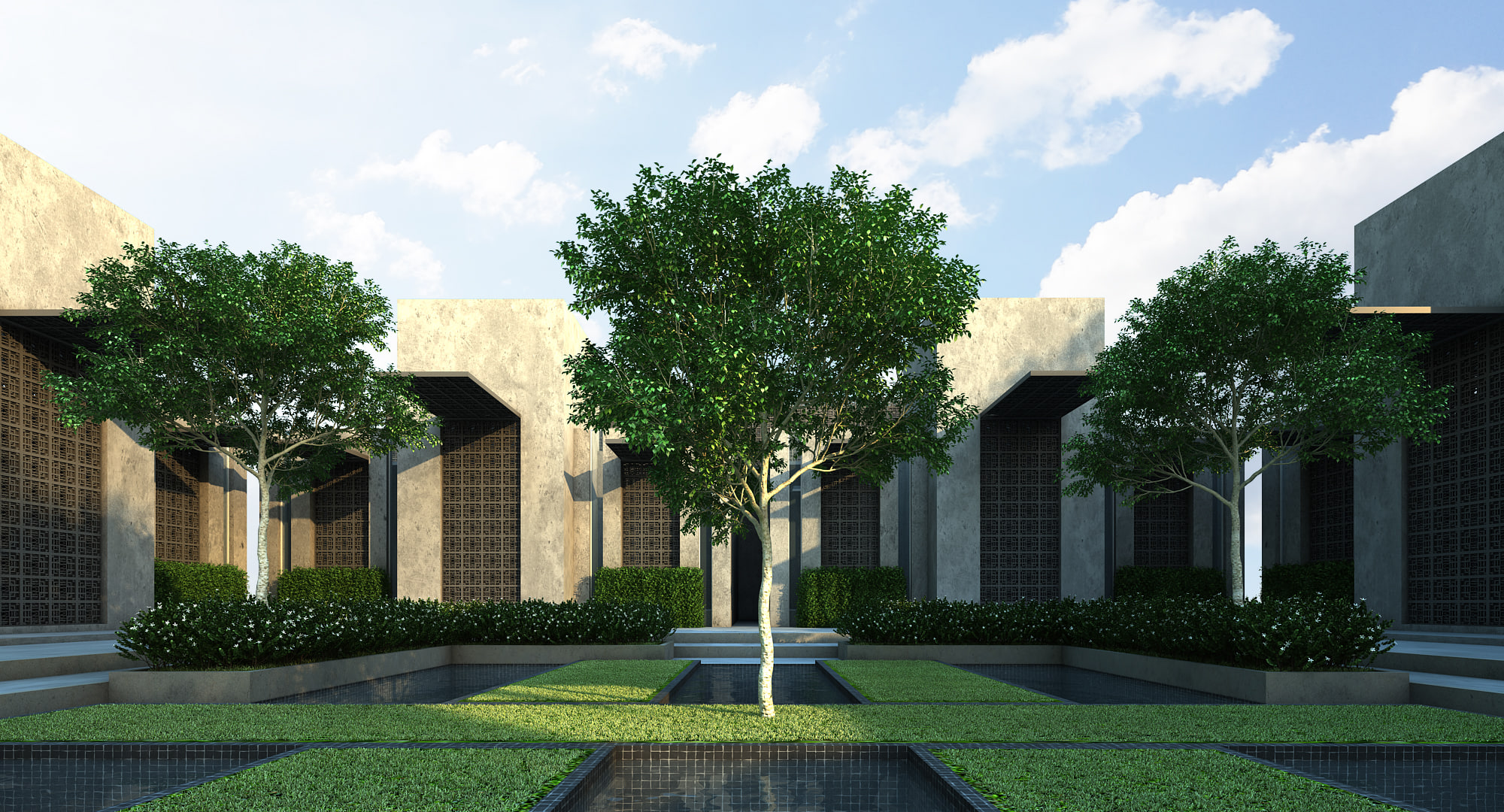 Ficus Benjamina 4 3D 3D Model