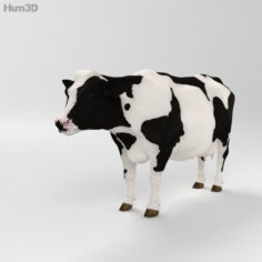 Cow HD 3D Model
