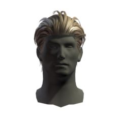 hair man 5 3D Model